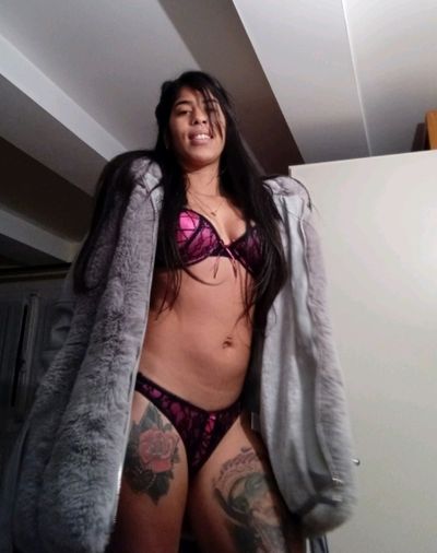 pink_regal thumbnail