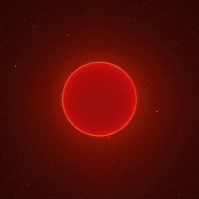 dora-the-xplorer thumbnail