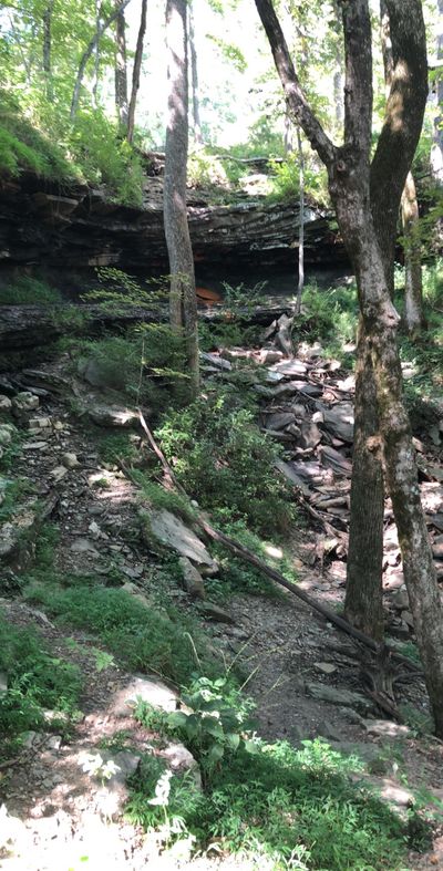 robinkaufers thumbnail