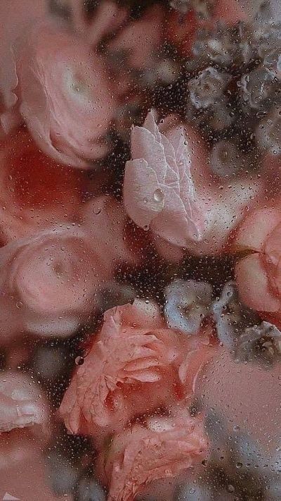 Legionkitty thumbnail