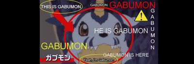 Gaining Gamer thumbnail