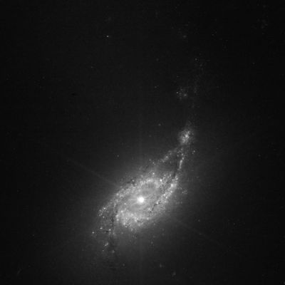 elroyjizzsome thumbnail