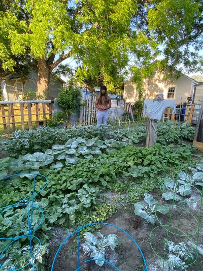 tamirsagesse thumbnail