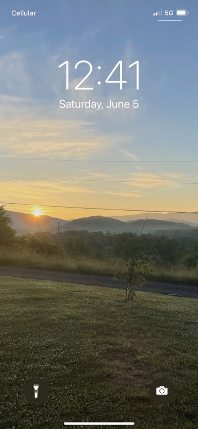 Lilly Rose thumbnail