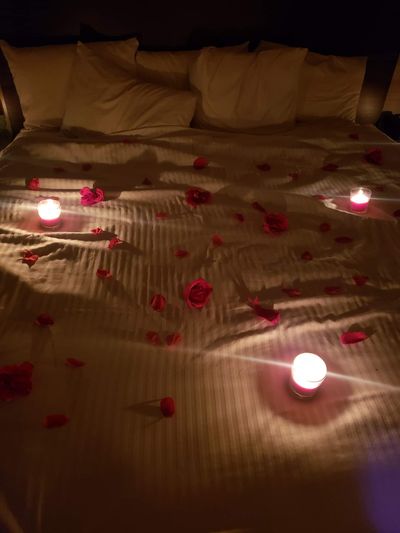 Cake_shorty thumbnail