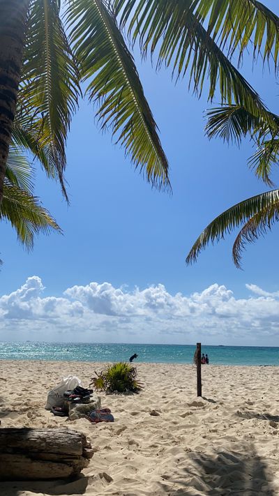 marleey2.0 thumbnail