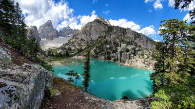 mydickinthewild thumbnail