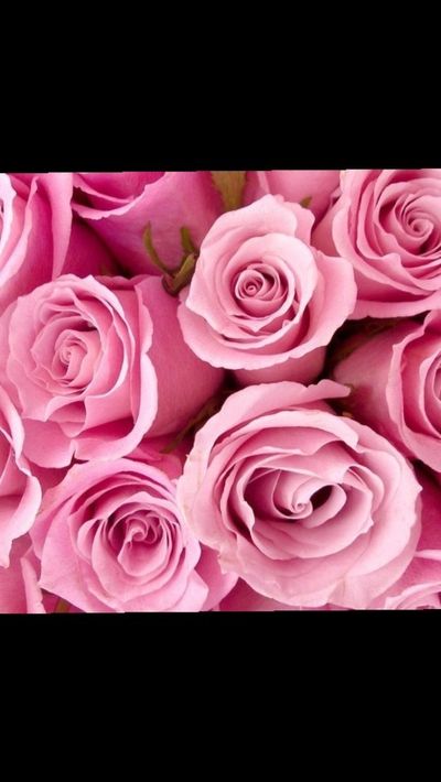 xxsarbryanxx thumbnail