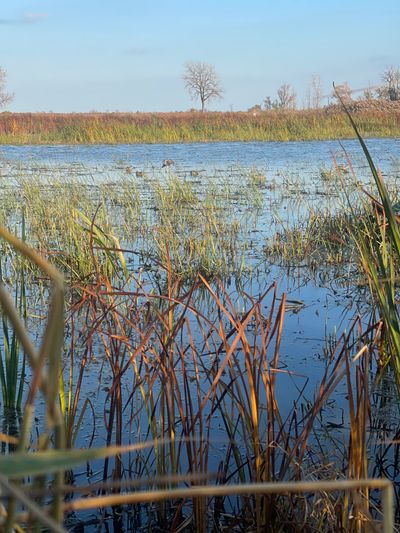 kenneth3035 thumbnail