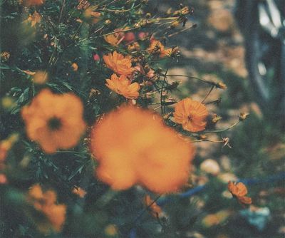 ewuarvalencia thumbnail