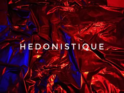 the.hedonist thumbnail