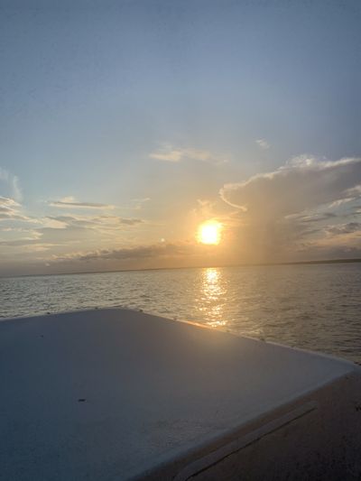 ginger.bush thumbnail