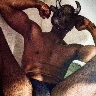 thebullguy2 profile