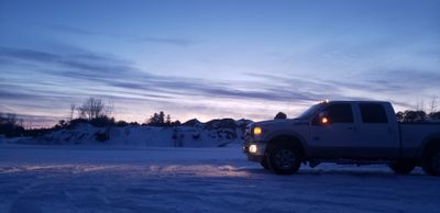 mixed_breed96 thumbnail