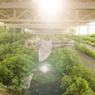 Роман Бурмакин thumbnail