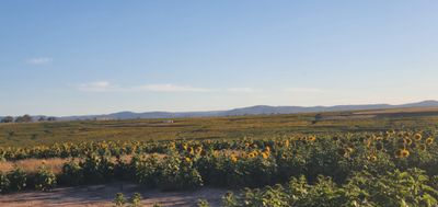 prettybeb420 thumbnail