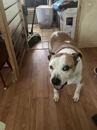 aldinknight02 thumbnail