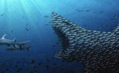 u123652482 thumbnail