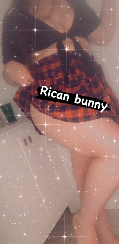 💕🐰Rican Bunny🐰💕 thumbnail