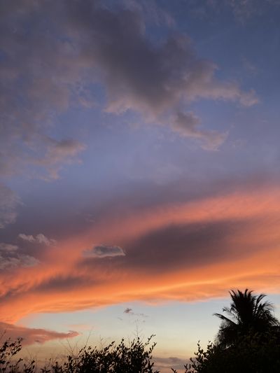 virgobaby.96 thumbnail