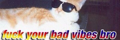 thatchicklex thumbnail