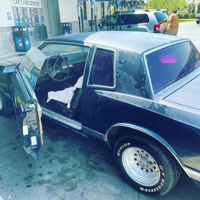 Alfredo camacho thumbnail