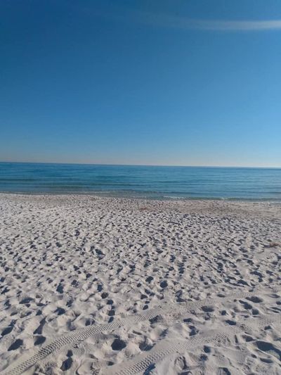 Bud Tester thumbnail