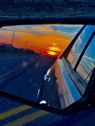 blueeyebabybear thumbnail