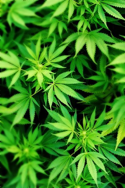 that1gayguy69 thumbnail