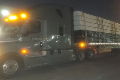 misterbobular thumbnail