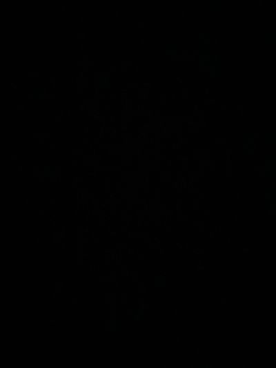 mystical.fairy thumbnail