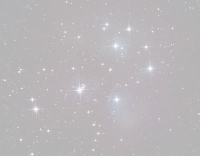 daisyxlacefree thumbnail