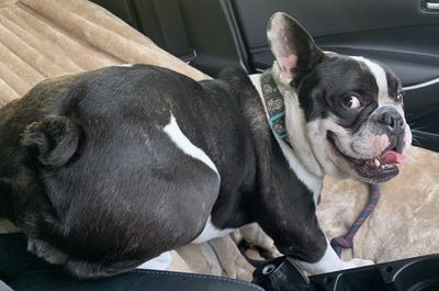 shoton.iphone thumbnail