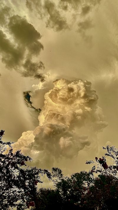 gaypharbor thumbnail