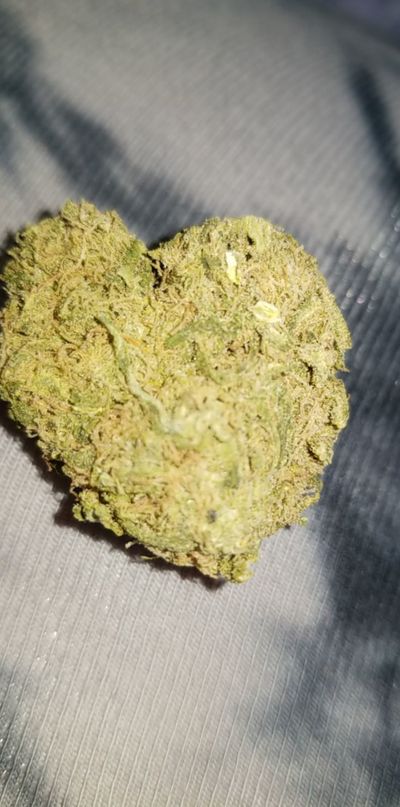 dutchessbaby thumbnail