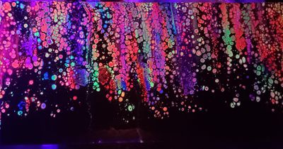 edwinperaltasd thumbnail