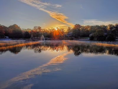 theorgnlfb thumbnail