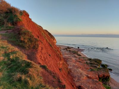 Pierced Wings thumbnail