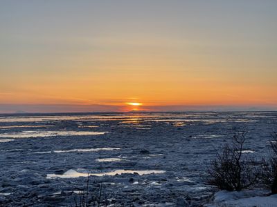 Princess Lizzy thumbnail