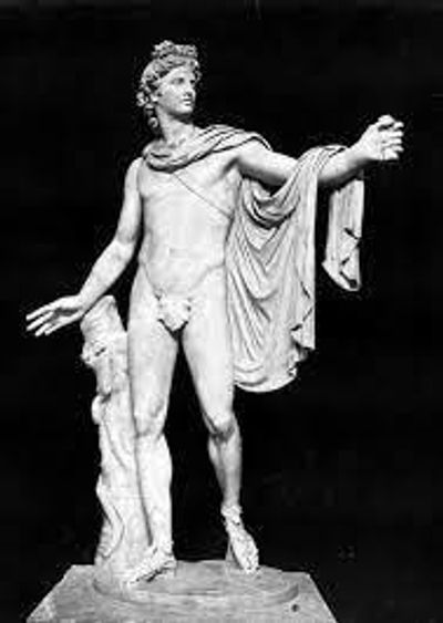 theaestheticdickcompany profile