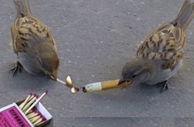 ilovecigarettes69 thumbnail