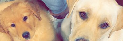 mynameiz_alyssa thumbnail