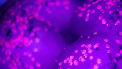 ihavapiness thumbnail