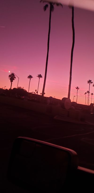 tummy.tickler thumbnail