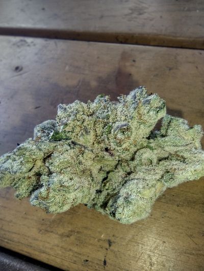 shamelesslittle thumbnail