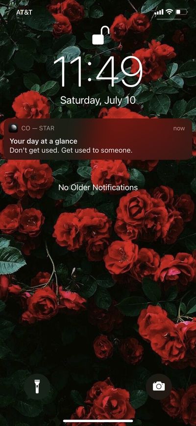 baddiewitnodaddie832 thumbnail