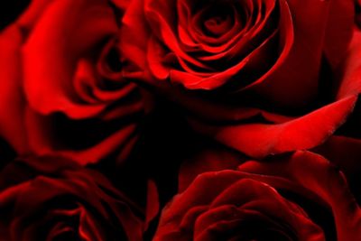 roseerbaker thumbnail