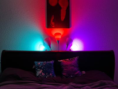 Red Light Playground profile