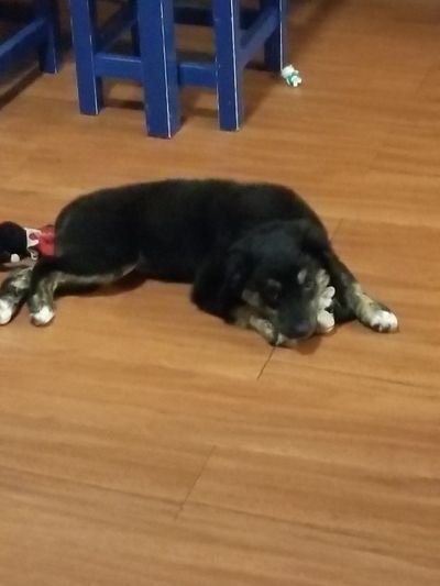 blondbeard thumbnail