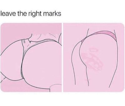 bear13201320 thumbnail